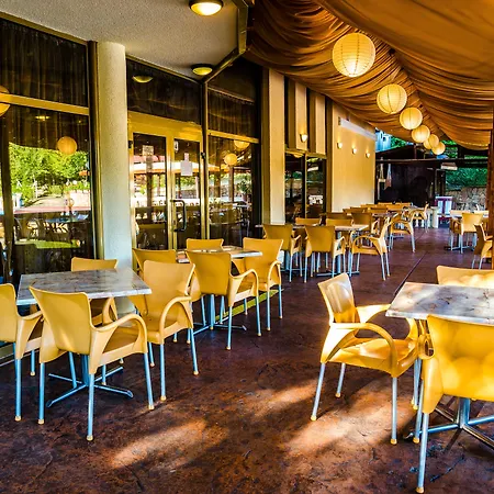 Havana 4* Золотые Пески