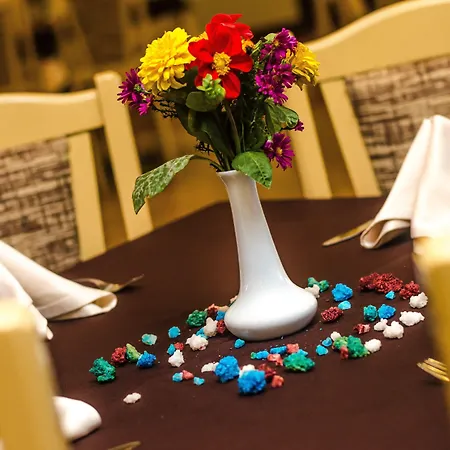 Hotel Havana Sables d'or