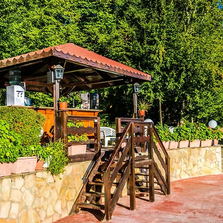 Havana 4* Золотые Пески