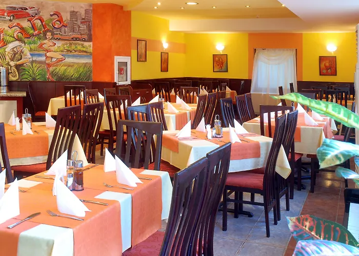 Havana 4* Złote Piaski