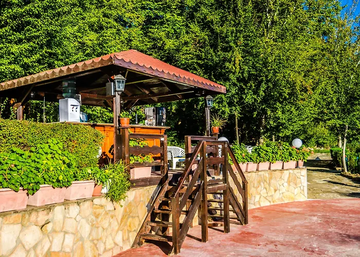 Havana 4* Złote Piaski